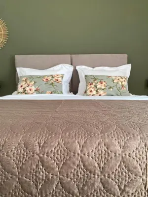 a bed with two pillows on top of it at Athens Sunnyside condo in Athens