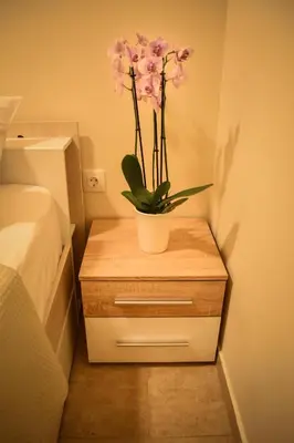 a table with a potted plant on it next to a bed at Όμορφο διαμέρισμα στην περιοχή της Ηλιούπολης in Athens