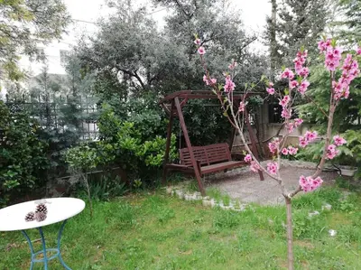 a garden with a bench and a tree with pink flowers at h2h Dafni #Family home near Athens, airport, ports with garden in Athens