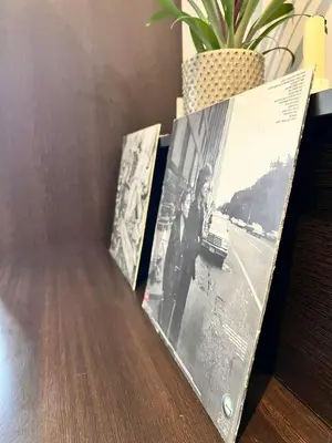 two framed photographs sitting on a table with a plant at Athens Taratsaki in Athens