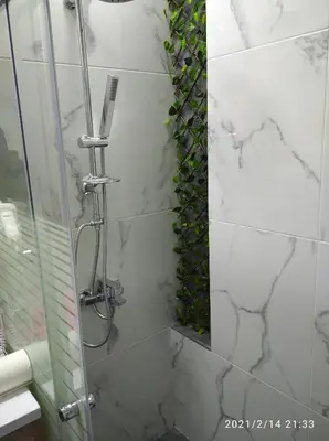 a shower with a glass door with plants on the wall at Lovely apartment in the center of Athens. in Athens