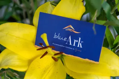 a book sitting on top of a yellow flower at Blue Ark Acropolis Spirit in Athens