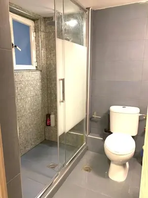 a bathroom with a toilet and a glass shower at Athens City Themis 6 in Athens