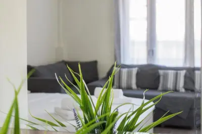 a living room with a couch and a plant at Lovely Studio Apartment For 2 Ppl in Athens in Athens