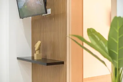 a tv on a wall with a shelf and a plant at ATHENIAN HOME Near Acropolis in Athens