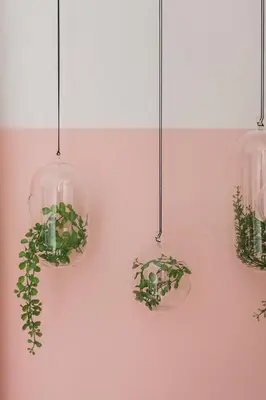 three potted plants are hanging on a wall at Groovy 2BR Apartment in Koukaki by UPSTREET in Athens
