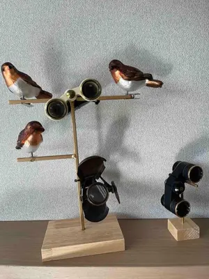 three birds sitting on a wooden stand next to a camera at The Lop Athens Holidays Luxury Suites in Athens