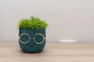 a potted plant with a pair of glasses on it at Lovely 2-bedroom apartment with a city view (F10) in Piraeus