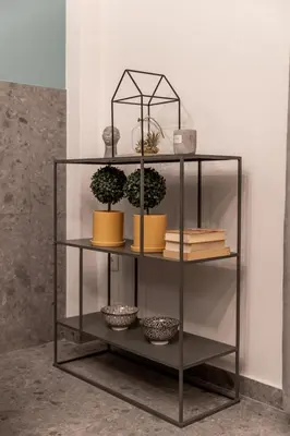 a shelf with potted plants and books on it at Elegant Apt 5' from Ampelokipi Metro Station in Athens