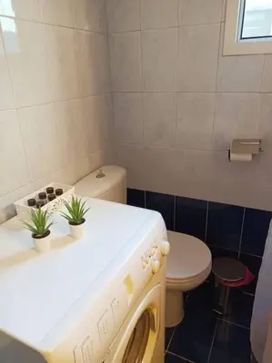 a bathroom with a washing machine and a toilet at Detached house with a lovely yard 5' walk from Metro Station Agios Dimitrios and METRO MALL in Athens