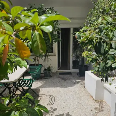 a patio with a bunch of plants and a window at Diocharous garden apartment in Athens