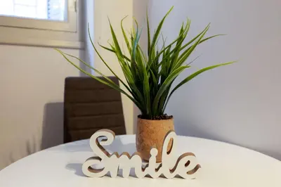 a plant in a vase sitting on top of a table at Central apartment in the heart of Historic Center in Athens
