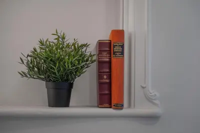 a shelf with books and a potted plant on it at Friends & family 3broom apt, downtown Athens-FIX in Athens