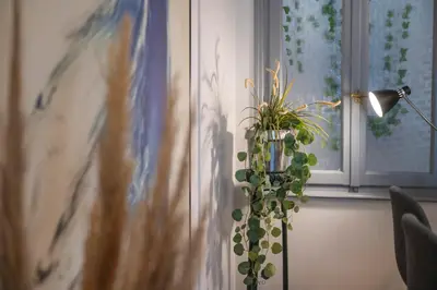 a plant in a vase next to a window at Friends & family 3broom apt, downtown Athens-FIX in Athens