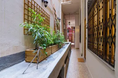 a row of plants on a ledge in a building at Stoa Kairi Loft B in Athens