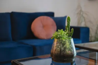 a vase with a cactus on a table with a blue couch at Luxury 2 bdroom apt- Megaro Mousikis in Athens