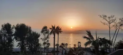 a sunset over a beach with palm trees and the ocean at Brand new apartment with hidden garden in Athens