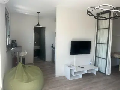a living room with a couch and a tv on a wall at Emily in Athens - Central chic flat with terrace Syntagma E1 in Athens