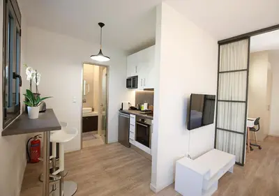 a small apartment with a kitchen and a living room at Emily in Athens - Central chic flat with terrace Syntagma E1 in Athens