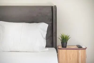 a bed with a white pillow and a plant on a night stand at Stylish 2BDR Apt by the Acropolis in Athens