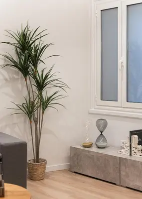 a living room with a potted plant and a window at Acropolis Holmes Residence in Athens