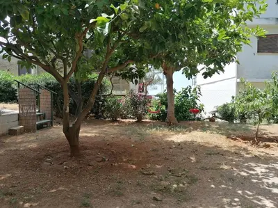two trees in a yard next to a building at Cosy and Relax Studio by the sea, with garden in Saronida