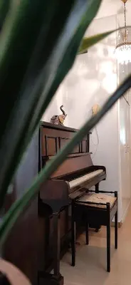 a piano with a cat sitting on top of it at Koukaki View in Athens