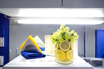 a vase with flowers and lemon slices on a shelf at Santorini Style at Nathional Archeological museum of Athens,Greece in Athens