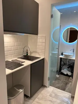 a small kitchen with a sink and a sink at Palace Apartment in Athens