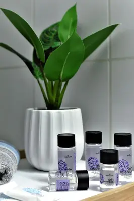 a potted plant in a white vase with a plant at Kolonaki Jewel 1st floor feel like home properties in Athens