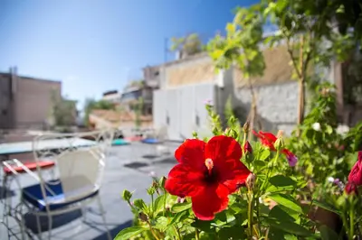a red flower on a balcony with a boat at Architect designed studio with green rooftop! EP7R in Athens