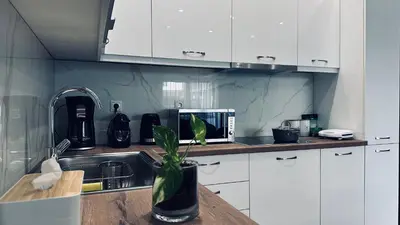 a kitchen with a sink and a potted plant on a counter at Hodos Luxury APT near ATH-Airport in Markopoulo
