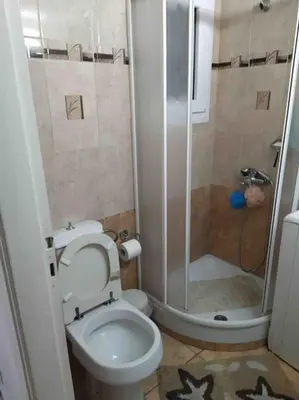 a small bathroom with a toilet and a shower at Stella’s cottage in Athens