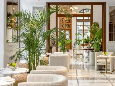 a lobby with chairs and tables and plants at The Dolli at Acropolis, A Hotel to Live in Athens