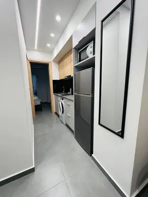 a kitchen with a black refrigerator and a dishwasher at Likourgou Suite Dialog Number 1 VIPGreece in Athens