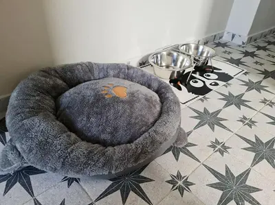 a stuffed animal in a dog bed on a table at Simple & Noble in Athens