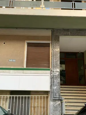 a building with a gate and a door and stairs at Marina Alkamenous apartment in Athens