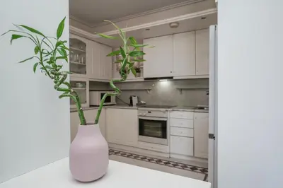 a white kitchen with a vase with a plant in it at Endless Blue Studio in Glyfada in Athens