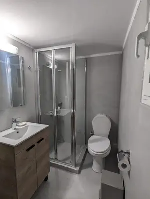 a bathroom with a shower and a toilet and a sink at Vintage Apartment in Athens