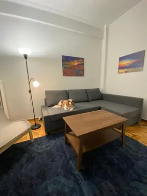 a dog laying on a couch in a living room at Traveller's Choice in Athens