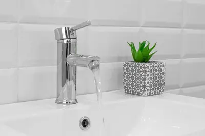 a bathroom sink with a water faucet and a plant at Athenian center apartments in Athens
