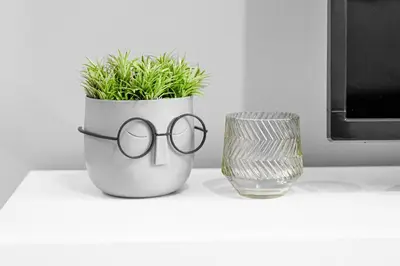 a potted plant with glasses sitting next to a glass at Athenian center apartments in Athens