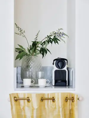 a shelf with a plant and cups and a toaster at Apollo Palm Hotel in Athens