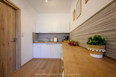 a kitchen with white cabinets and a potted plant at Nesto Athens Airport Zen in Spáta