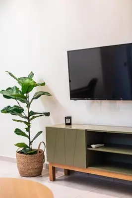 a living room with a tv and a potted plant at AlMar- Διαμέρισμα στο κέντρο της Ηλιούπολης in Athens