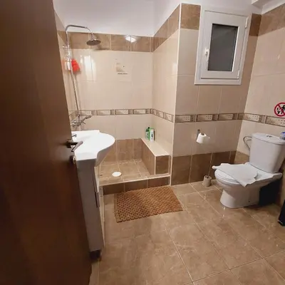 a bathroom with a toilet and a shower and a sink at Elpida's house in Spáta