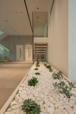 a room with rocks and plants on the floor at Emmantina Hotel in Athens