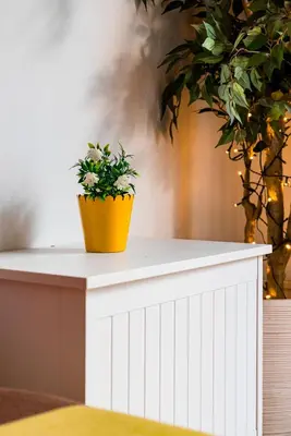 a potted plant sitting on top of a white counter at Spacious 2BA next to the park and Archeological museum in Athens