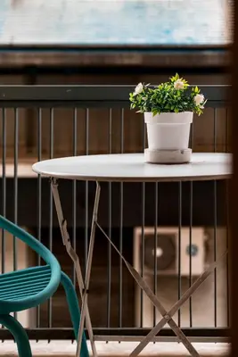 a potted plant on a table next to a chair at Spacious 2BA next to the park and Archeological museum in Athens