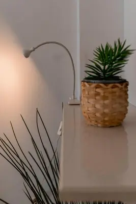 a desk with a lamp and a plant on it at Spacious 2BA next to the park and Archeological museum in Athens